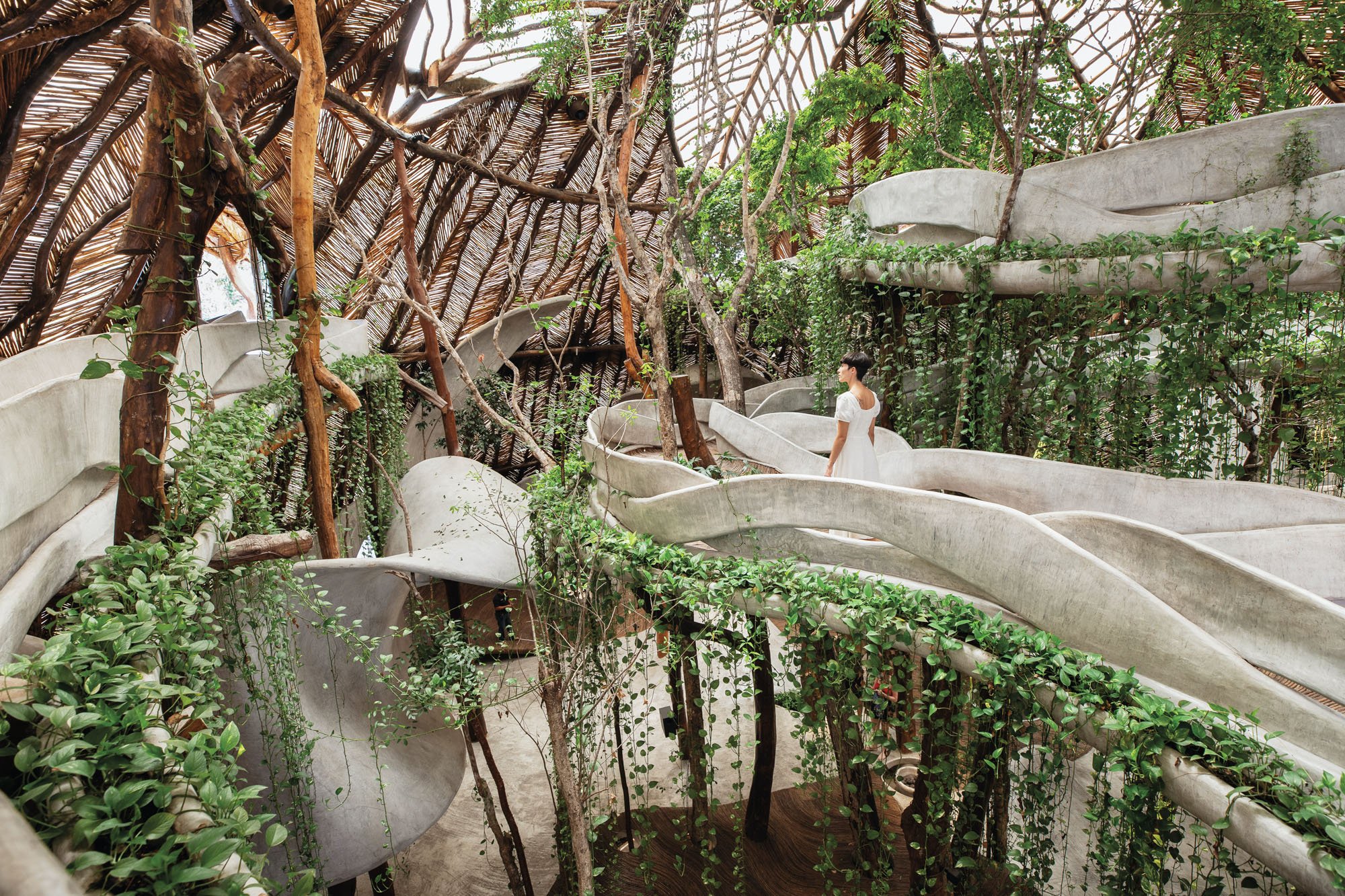 Bringing Nature Indoors: The Benefits of Biophilic Design