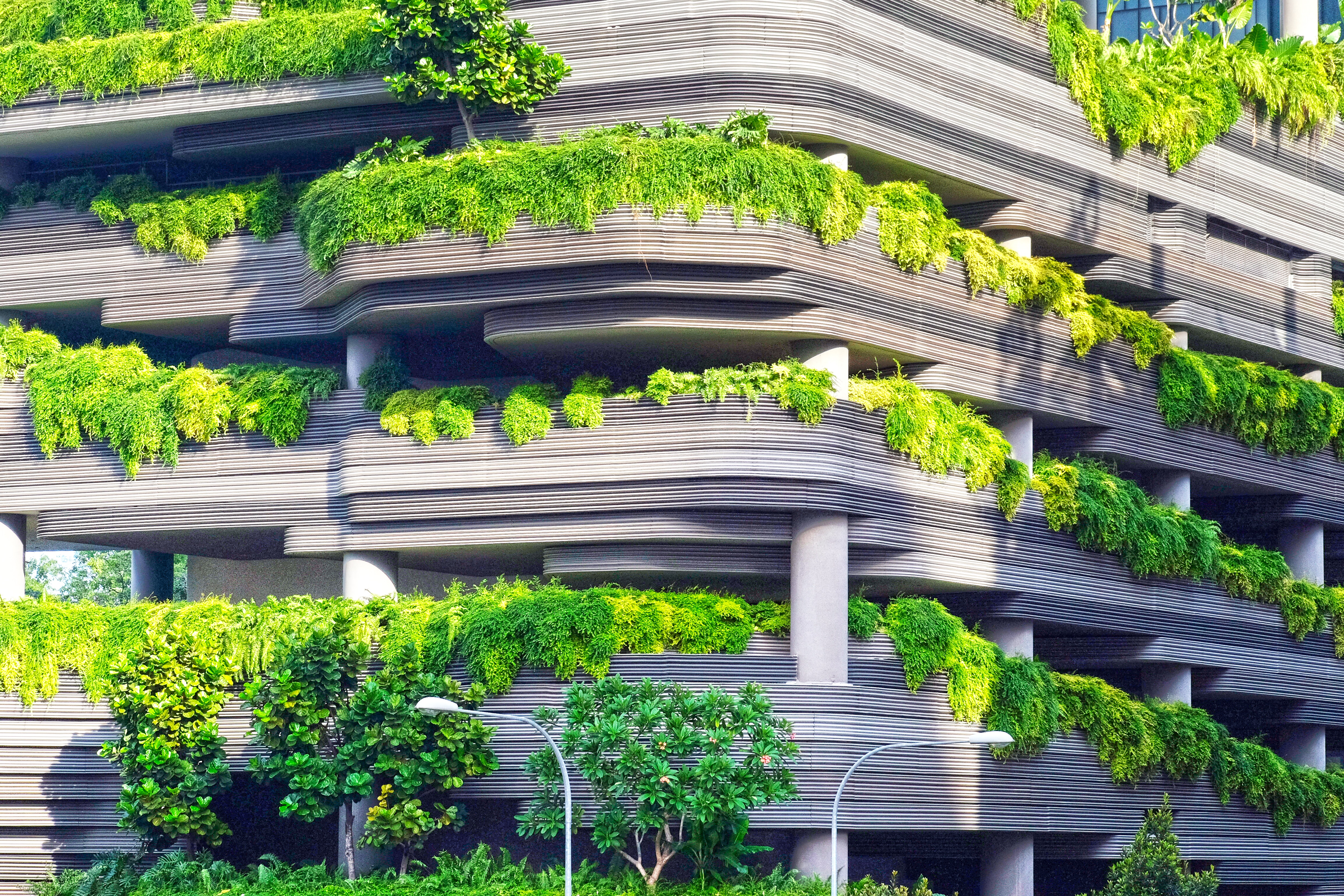 The Role of Architecture in Addressing Climate Change